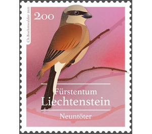 Red-Backed Shrike (Lanius collurio) - Liechtenstein 2021 - 200