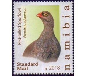 Red-billed Spurfowl (Pternistis adspersus) - South Africa / Namibia 2018