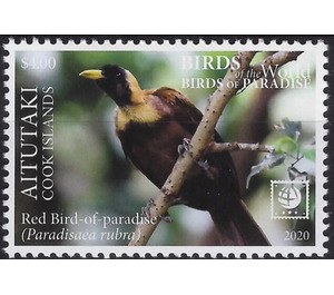Red Bird of Paradise (Paradisaea rubra) - Aitutaki 2020 - 4