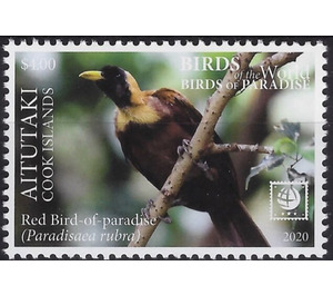 Red Bird of Paradise (Paradisaea rubra) - Aitutaki 2020 - 4