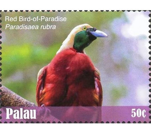 Red Bird-of-paradise    Paradisaea rubra - Micronesia / Palau 2018 - 50