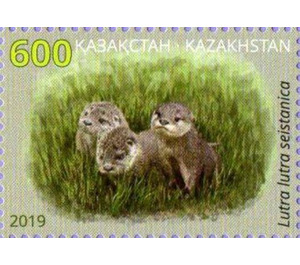 Red Book Of Kazakhstan : Eurasian River Otter - Kazakhstan 2019 - 600