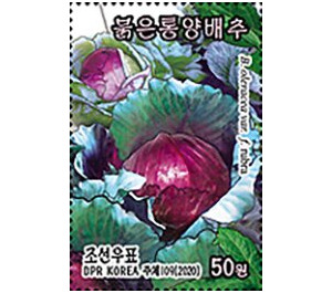 Red Cabbage - North Korea 2020 - 50