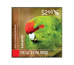 Red-Crowned Parakeet (Cyanoramphus novaezelandiae) - New Zealand 2020 - 2.60