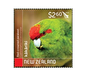 Red-Crowned Parakeet (Cyanoramphus novaezelandiae) - New Zealand 2020 - 2.60