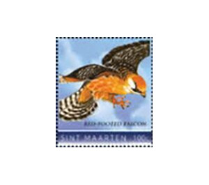 Red-footed falcon (Falco vespertinus) - Caribbean / Sint Maarten 2020