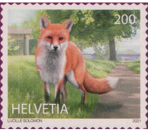 Red Fox (Vulpes vulpes) - Switzerland 2021 - 200