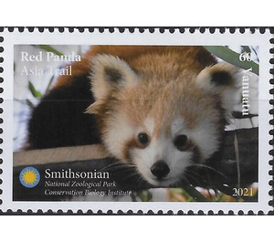 Red Panda (Ailurus fulgens) - Melanesia / Vanuatu 2021