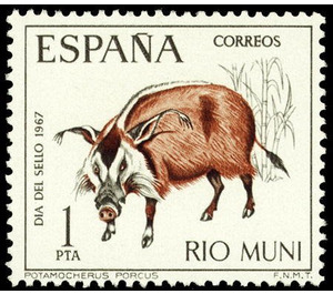 Red River Hog (Potamochoerus porcus) - Central Africa / Equatorial Guinea  / Rio Muni 1967 - 1