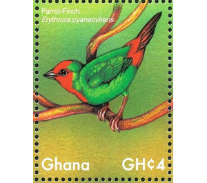 Red-throated Parrotfinch    Erythrura psittacea - West Africa / Ghana 2017 - 4