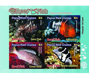 Reef Fish Of Papua New Guinea - Melanesia / Papua and New Guinea / Papua New Guinea 2019