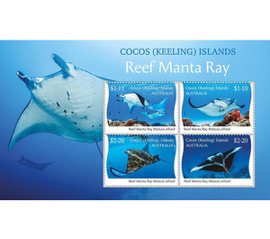 Reef Manta Ray (Mobula alfredi) - Cocos (Keeling) Islands 2021