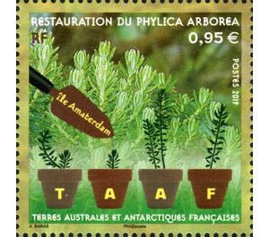 Reforestation of Amsterdam Island - French Australian and Antarctic Territories 2019 - 0.95