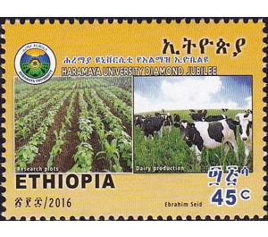 Research plots and Dairy production - East Africa / Ethiopia 2016 - 45