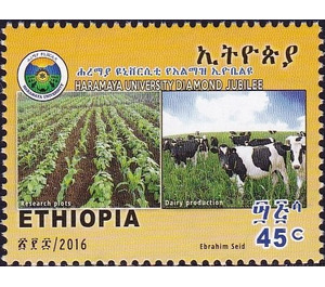 Research plots and Dairy production - East Africa / Ethiopia 2016 - 45