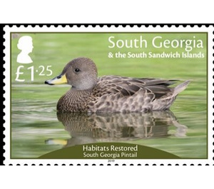 Restored Habitats : South Georgia Pintail - Falkland Islands, Dependencies 2019 - 1.25