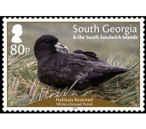 Restored Habitats : White-Chinned Petrel - Falkland Islands, Dependencies 2019 - 80