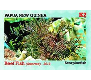Rhinopias - Melanesia / Papua and New Guinea / Papua New Guinea 2019 - 2