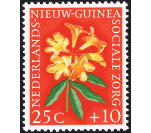 Rhododendron - Melanesia / Netherlands New Guinea 1959