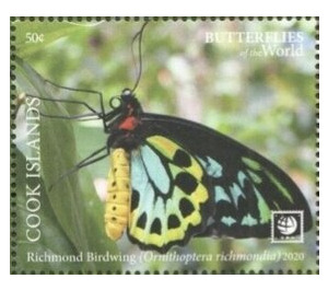 Richmond Birdwing Butterfly (Ornithoptera richmondia) - Polynesia / Cook Islands 2020 - 50