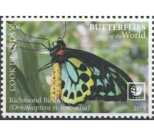 Richmond Birdwing Butterfly (Ornithoptera richmondia) - Polynesia / Cook Islands 2020 - 50