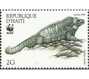 Ricord's Ground Iguana (Cyclura ricordii) - Caribbean / Haiti 1999 - 2