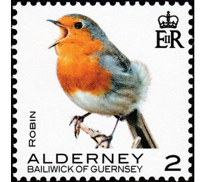 Robin - Alderney 2020 - 2