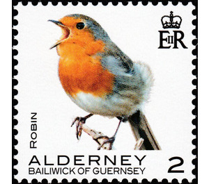 Robin - Alderney 2020 - 2