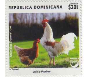 Rooster and Hen - Caribbean / Dominican Republic 2020