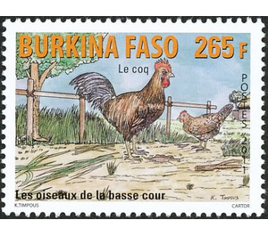 Rooster (Gallus gallus domesticus) - West Africa / Burkina Faso 2011 - 265