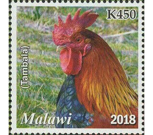 Rooster (Tambala) - East Africa / Malawi 2019 - 450