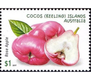 Rose Apple - Cocos (Keeling) Islands 2017 - 1