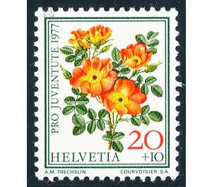 Rose - Fox Rose  - Switzerland 1977 - 209 Rappen