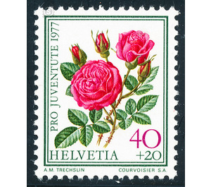 Roses - Edelrose  - Switzerland 1977 - 40 Rappen