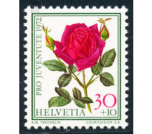 roses  - Switzerland 1972 - 30 Rappen