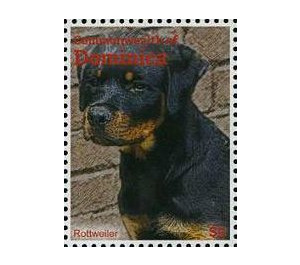 Rottweiler (Canis lupus familiaris) - Caribbean / Dominica 2013 - 5