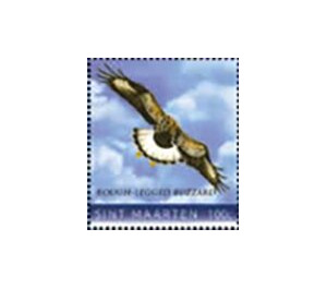 Rough-legged buzzard (Buteo lagopus) - Caribbean / Sint Maarten 2020