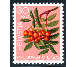 Rowan Tree (Sorbus aucuparia)  - Switzerland 1975 - 30 Rappen