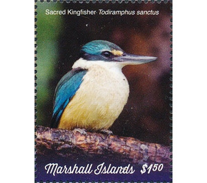 Sacred Kingfisher (Todiramphus sanctus) - Micronesia / Marshall Islands 2019 - 1.50