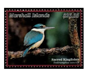 Sacred Kingfisher (Todiramphus sanctus) - Micronesia / Marshall Islands 2020 - 26.35