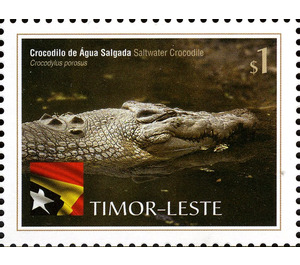 Saltwater Crocodile - Crocodylus porosus - East Timor 2010 - 1