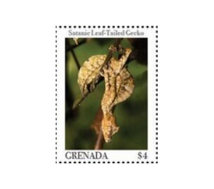 Satanic leaf-tailed gecko - Caribbean / Grenada 2020 - 4