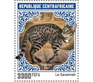 Savannah Cat - Central Africa / Central African Republic 2021