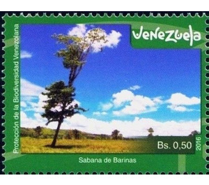 Savannah in the state of Barinas - South America / Venezuela 2016 - 0.50