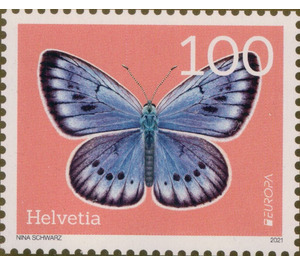 Scarce Large Blue (Phengaris teleius) - Switzerland 2021 - 100