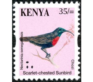 Scarlet-chested Sunbird (Chalcomitra senegalensis) - East Africa / Kenya 2014 - 35