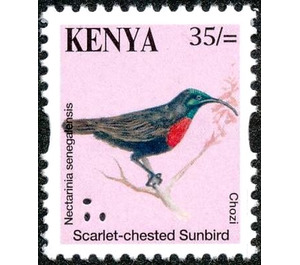 Scarlet-chested Sunbird (Chalcomitra senegalensis) - East Africa / Kenya 2014 - 35