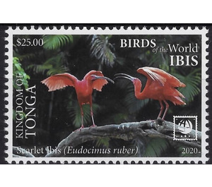 Scarlet Ibis (Eudocimus ruber) - Polynesia / Tonga 2020