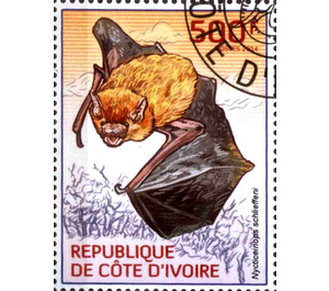 Schlieffen's Bat (Nycticeinops schlieffeni) - West Africa / Ivory Coast 2014 - 500