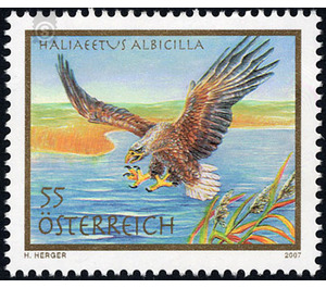 sea ​​eagle  - Austria / II. Republic of Austria 2007 - 55 Euro Cent